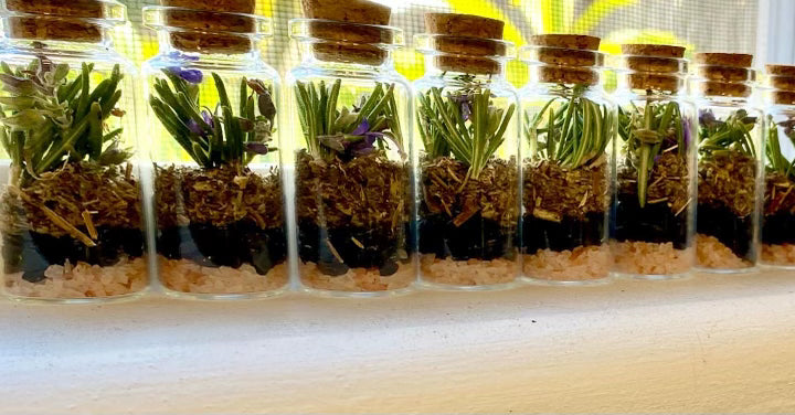 Protection and purification jar